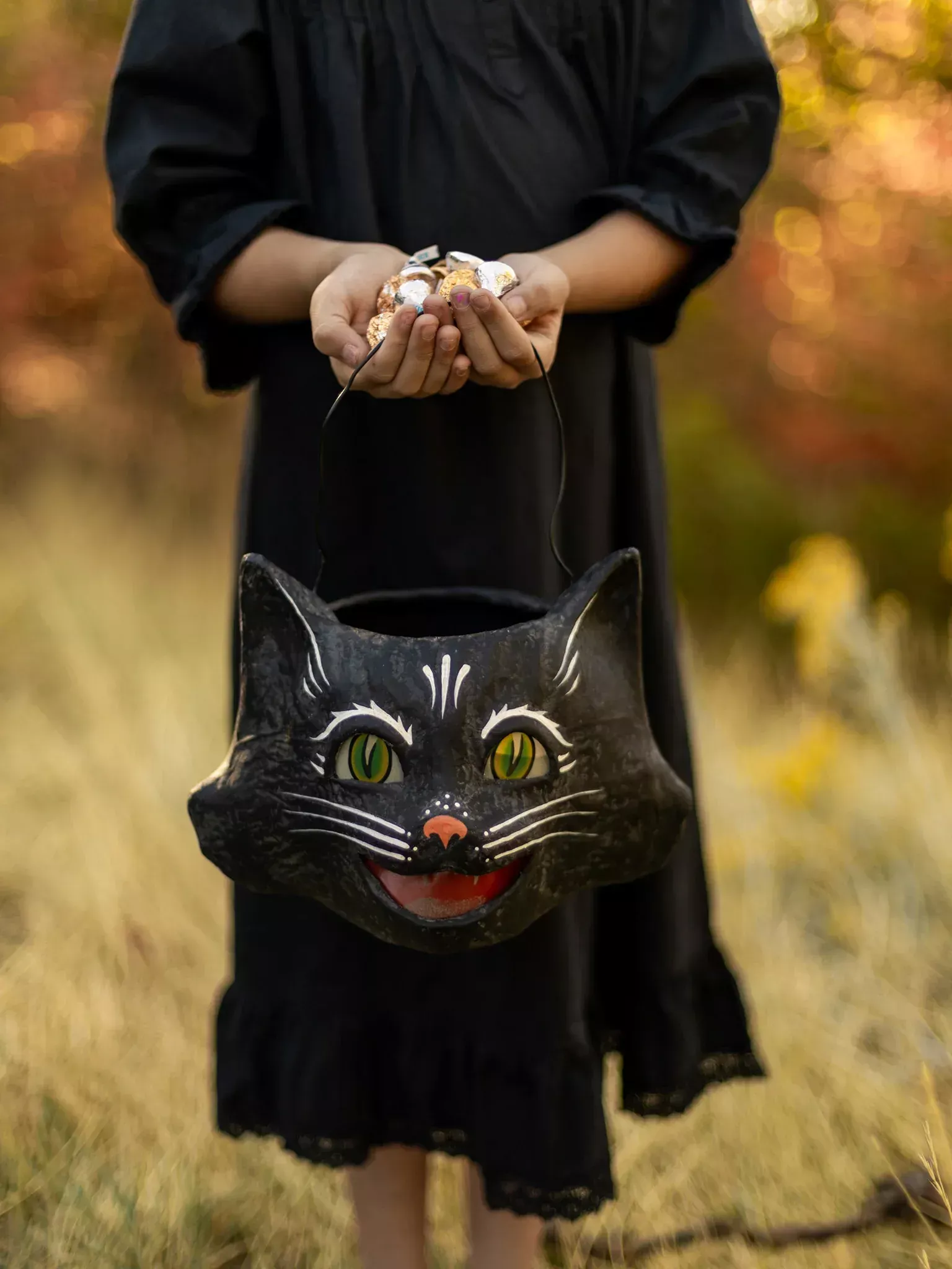 Laughing Cat Candy Bucket | Heirloom Art Co.