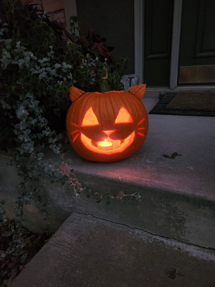 cat jack-o-lantern