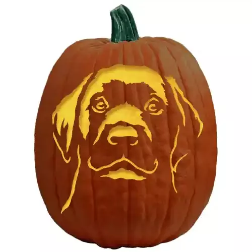 73 Adorable Dog Pumpkin Carving Ideas: Easy Stencils, Patterns & Templates – CCKOnline