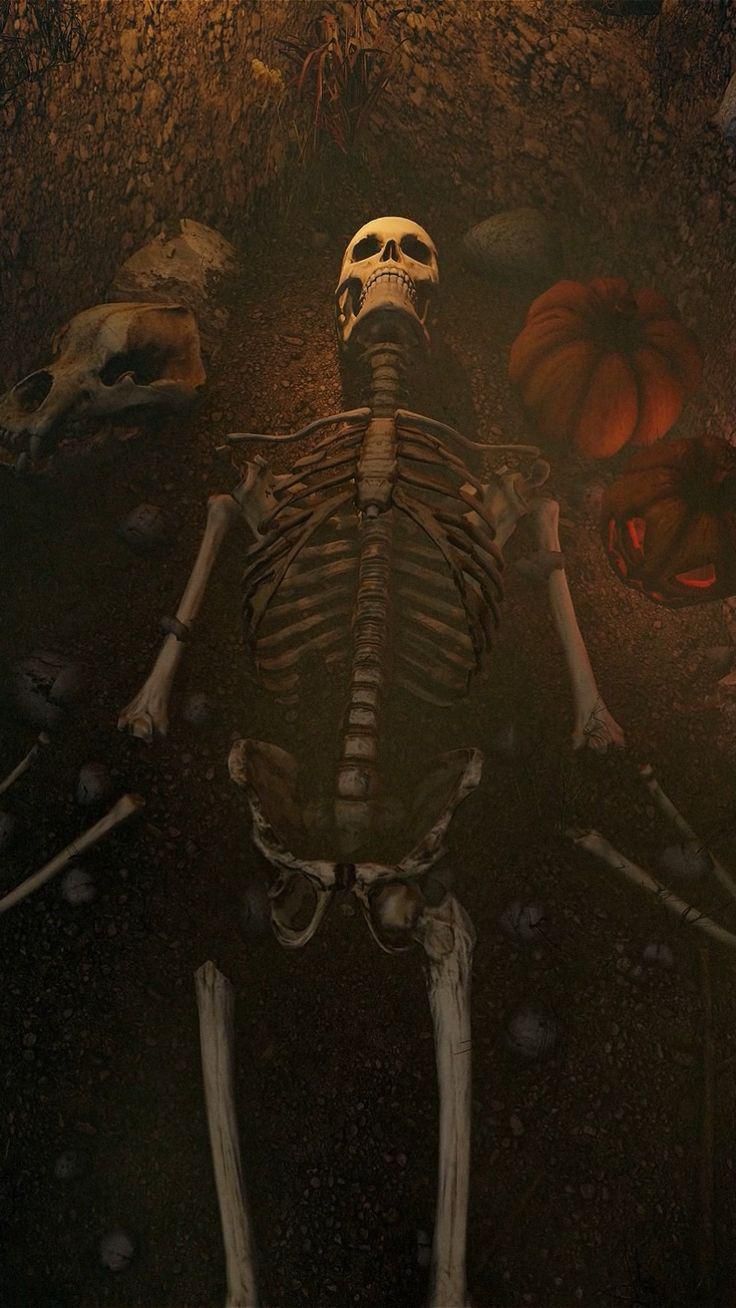 Spooky Halloween Intro or Outro After Effects Template