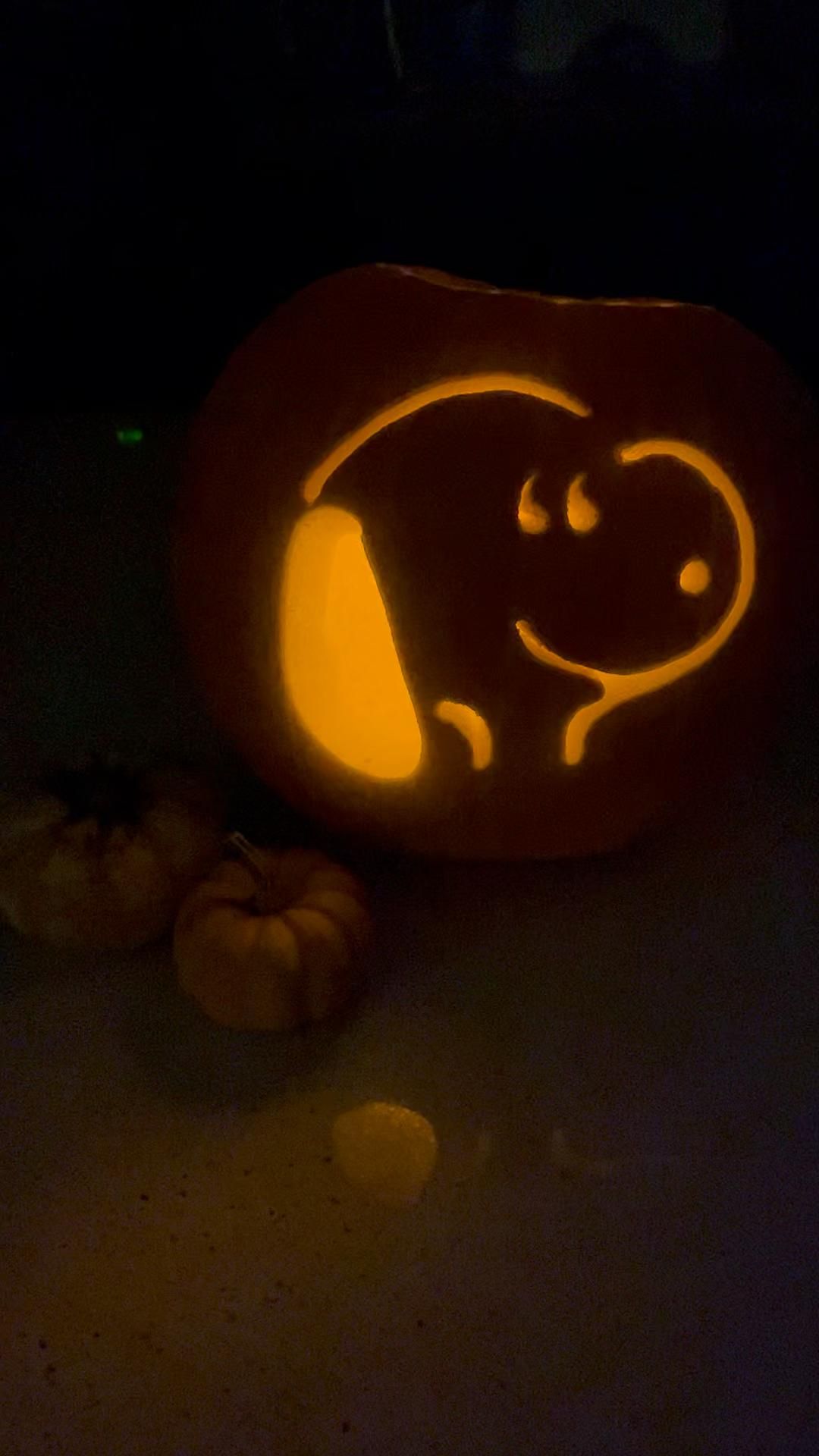 Snoopy Pumpkin 🐶🩷