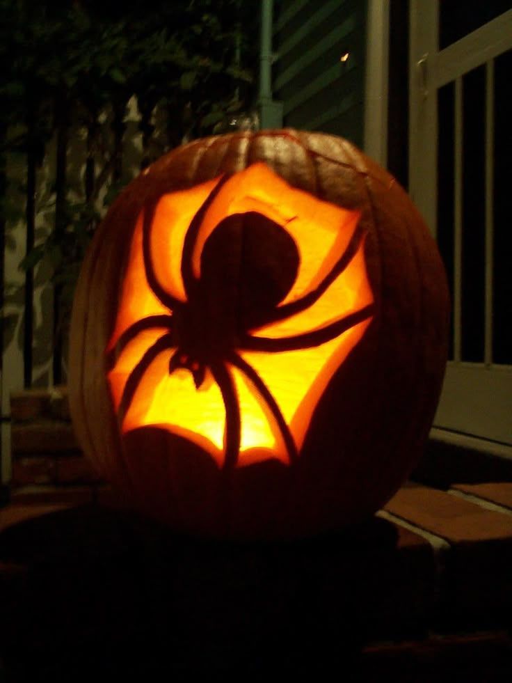 Spider carved pumpkin