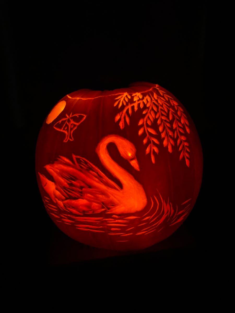 Swan pumpkin carving