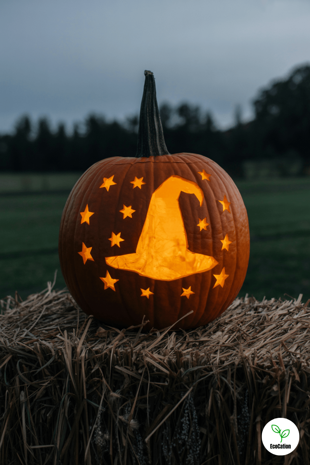 50 Pumpkin Carving Ideas That’ll Wow Your Porch This Halloween – EcoCation