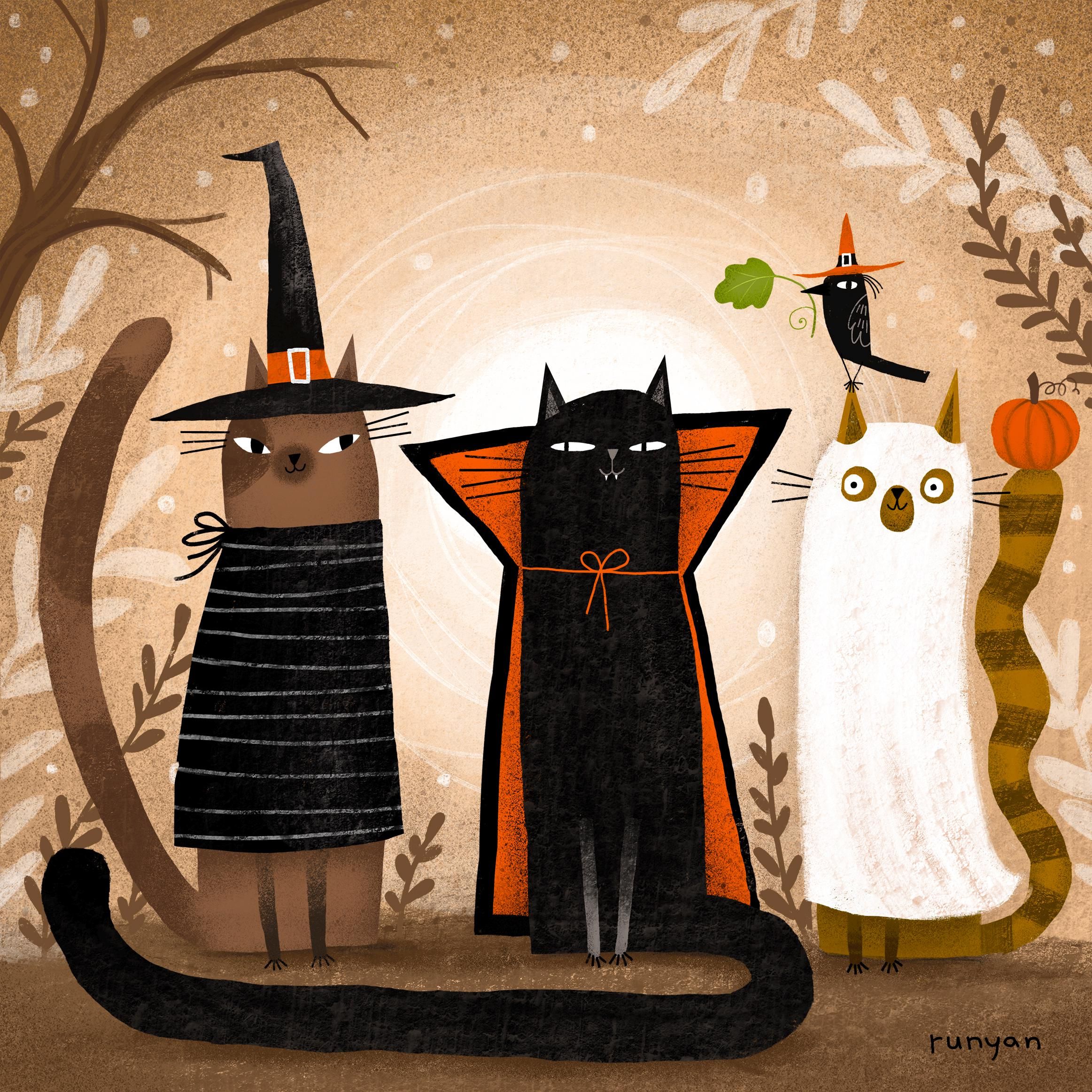 Costume Cats