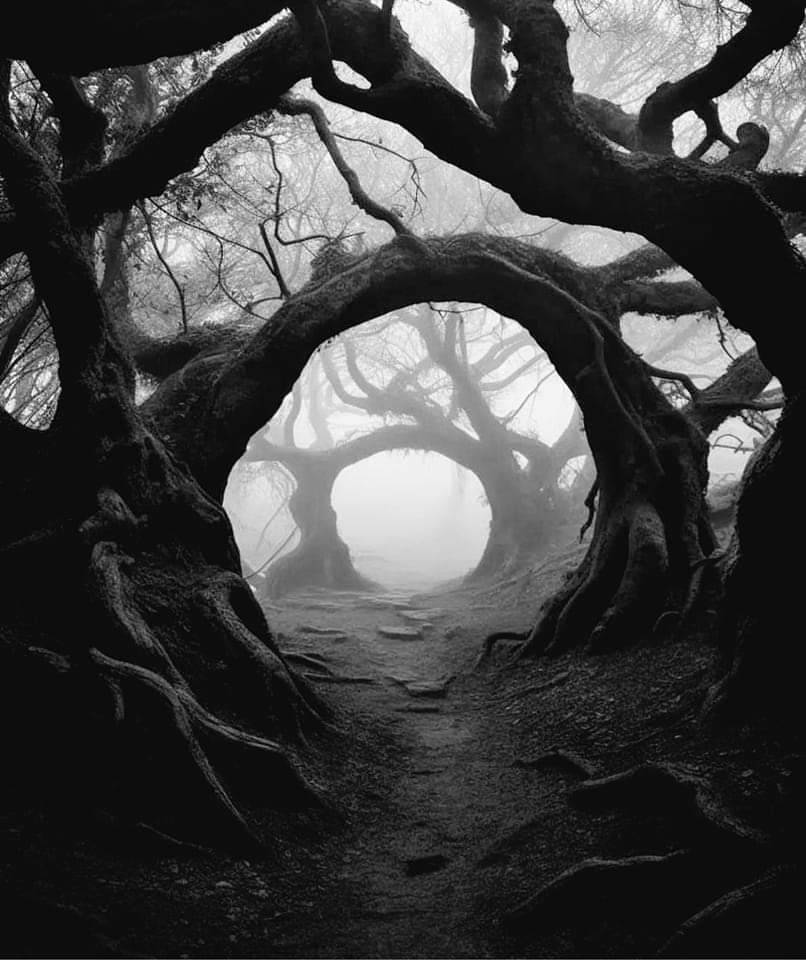 Reblog by @idlemomentssmallwonders · 1 image