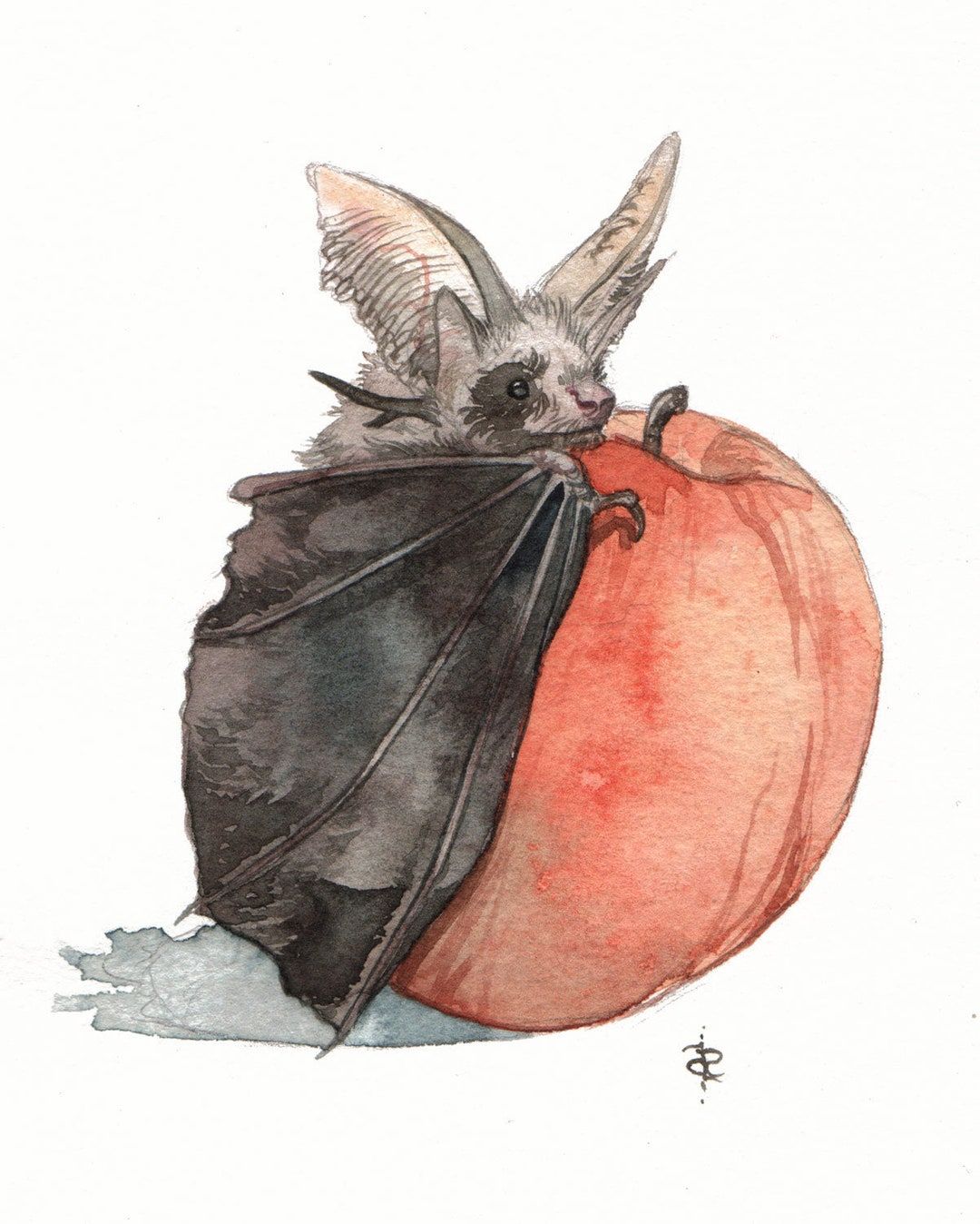 Peachy Keen- Watercolor Art Print, Cute Animal Art, Bat Art Print, Cute Animal Painting – Etsy