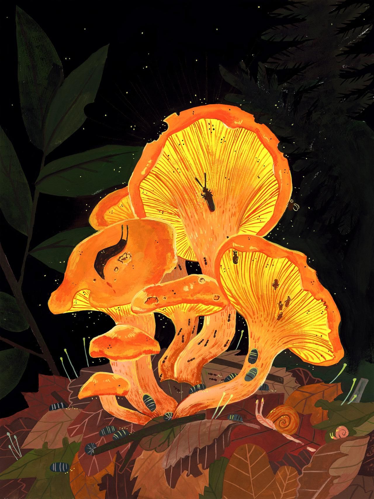 Jack o’ Lantern Mushroom Art Print by Julian Plum