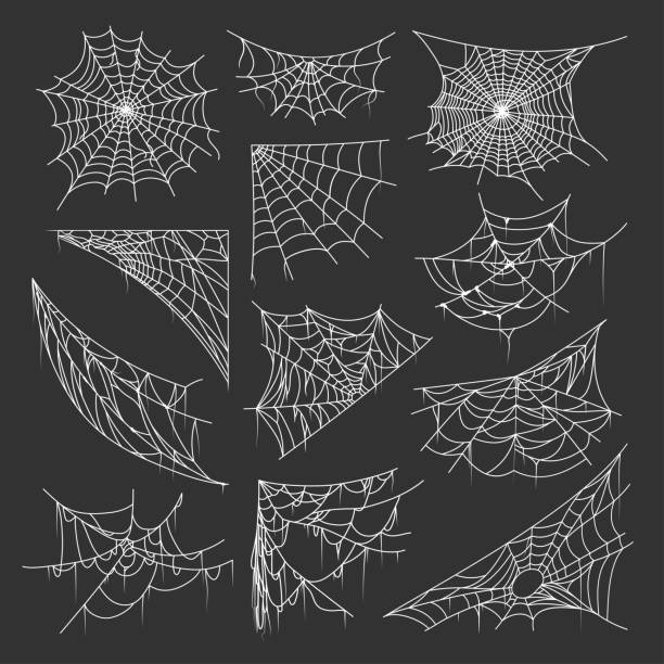 90,100+ Spider Web Stock Illustrations, Royalty-Free Vector Graphics & Clip Art – iStock