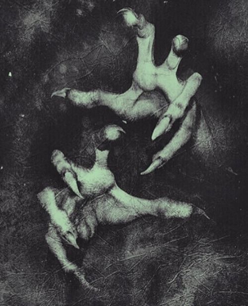 Welcome to my Pumpkin Patch!