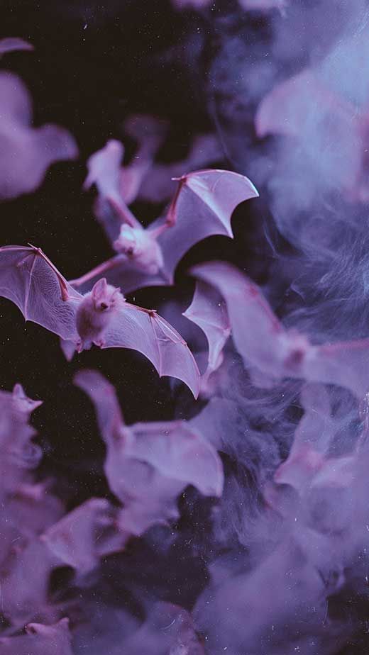 50 Exclusive Pastel Goth Aesthetic Wallpapers for Phone & Desktop Background – The Mood Guide